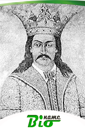 Vladislav I 